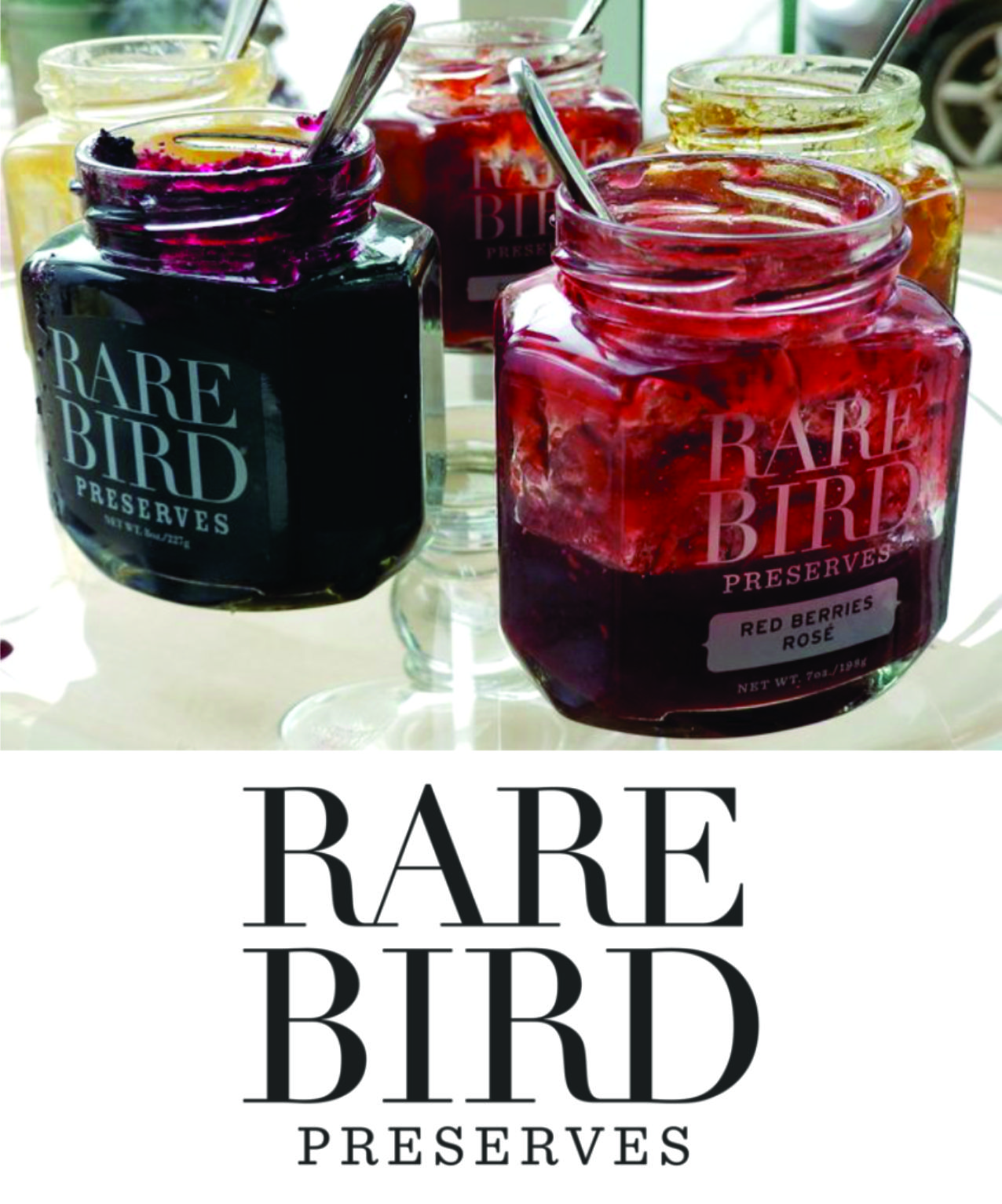 Rare Bird Jams